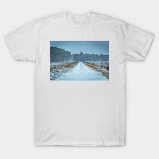 January Snow Day T-Shirt